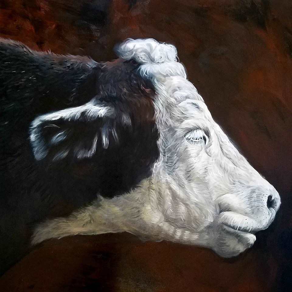 Old Cow by J. Scott Ament, Image 1.