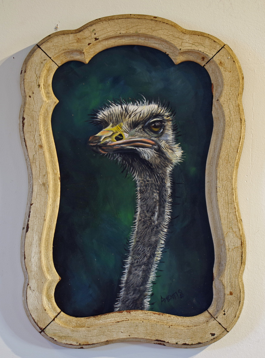 Ostrich II by J. Scott Ament 