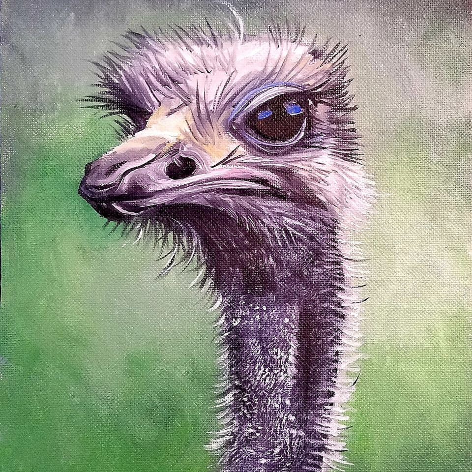 Ostrich by J. Scott Ament 