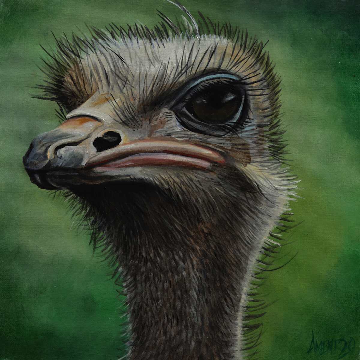 Ostrich by J. Scott Ament 