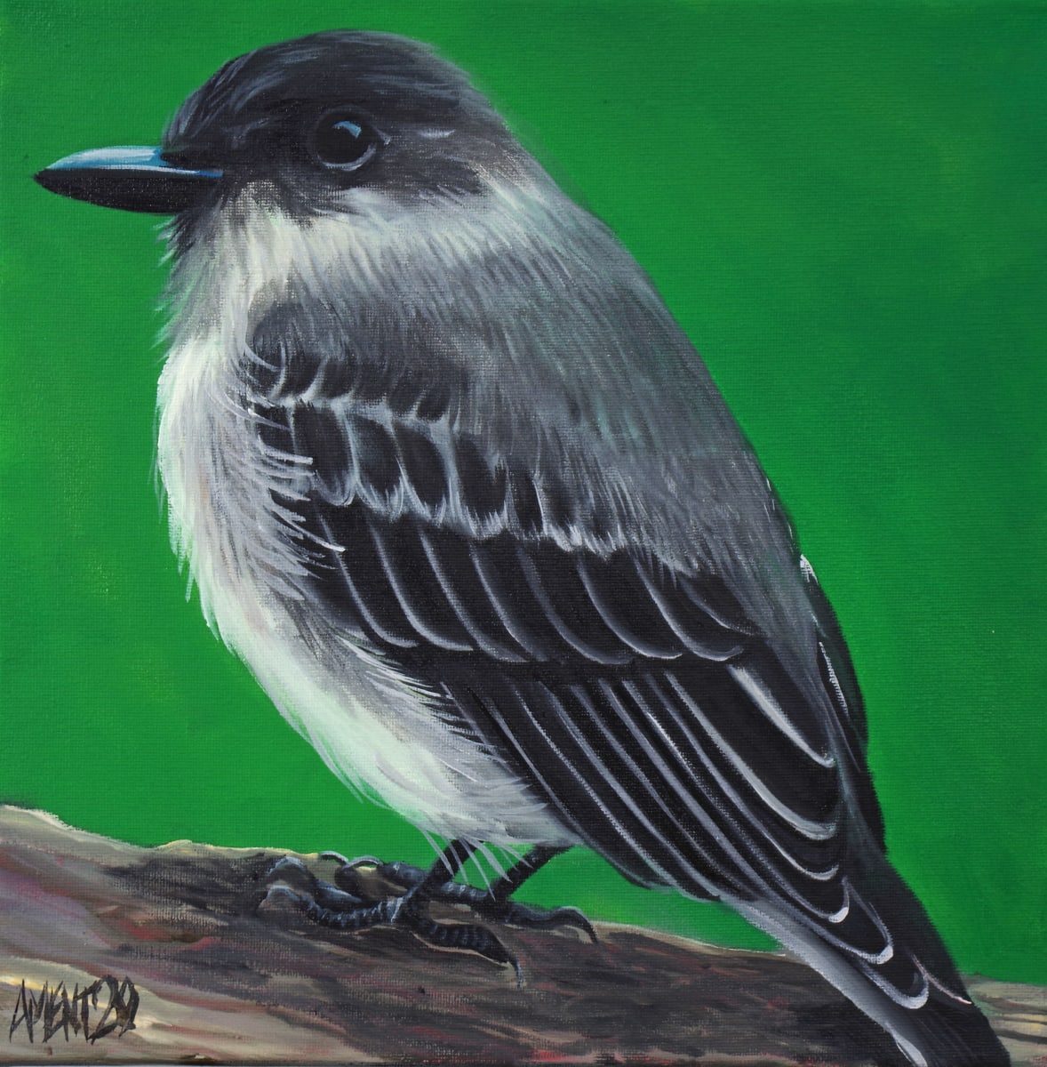Phoebe by J. Scott Ament, Image 1.
