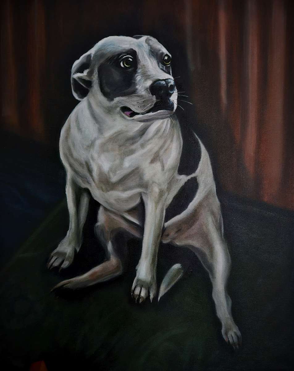 Phoenix by J. Scott Ament 