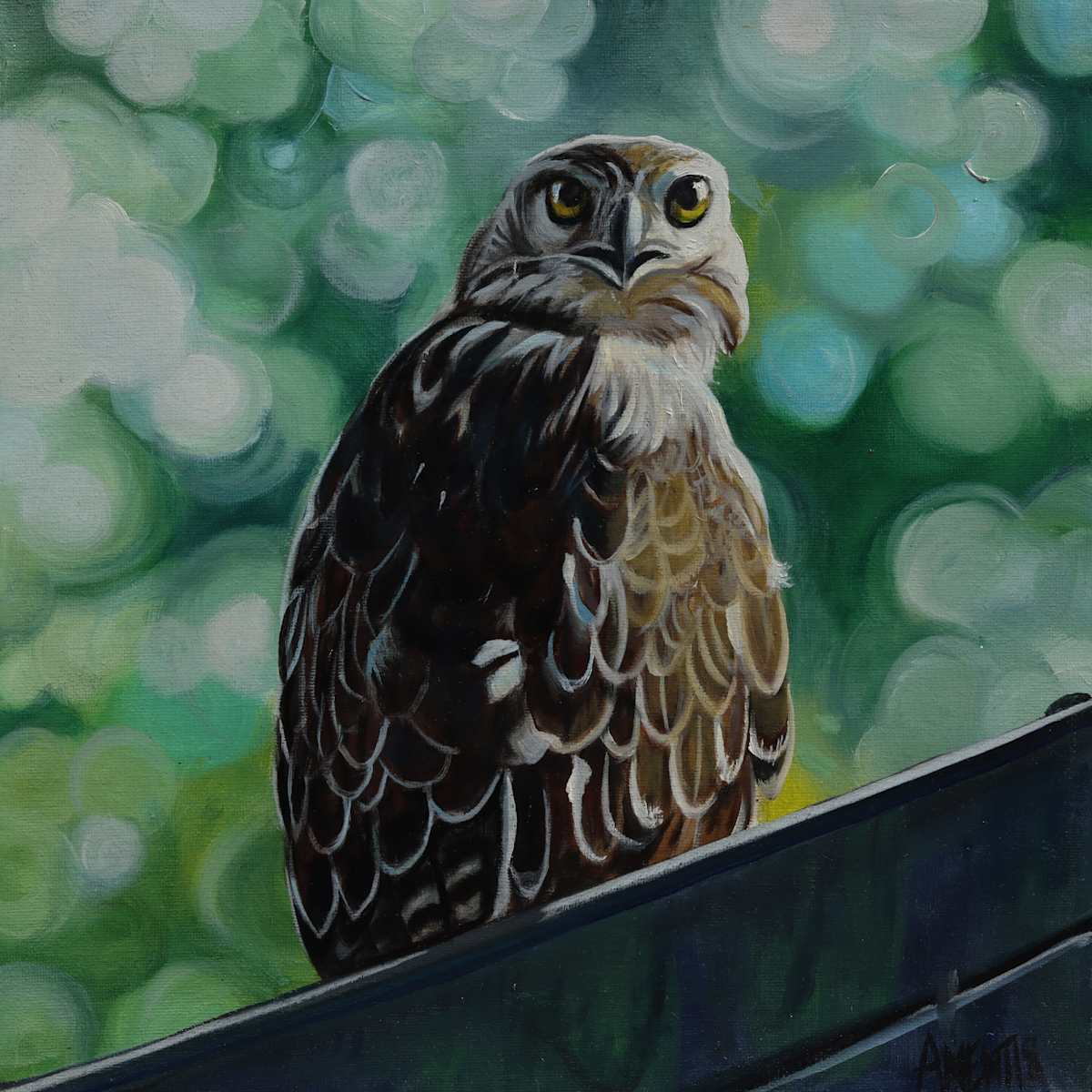 Red-Tailed by J. Scott Ament, Image 2.