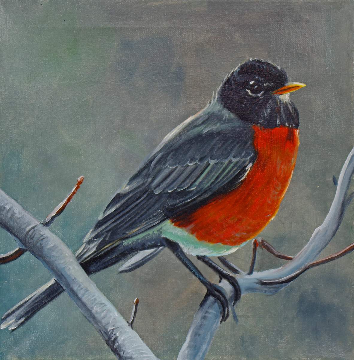 Robin by J. Scott Ament 