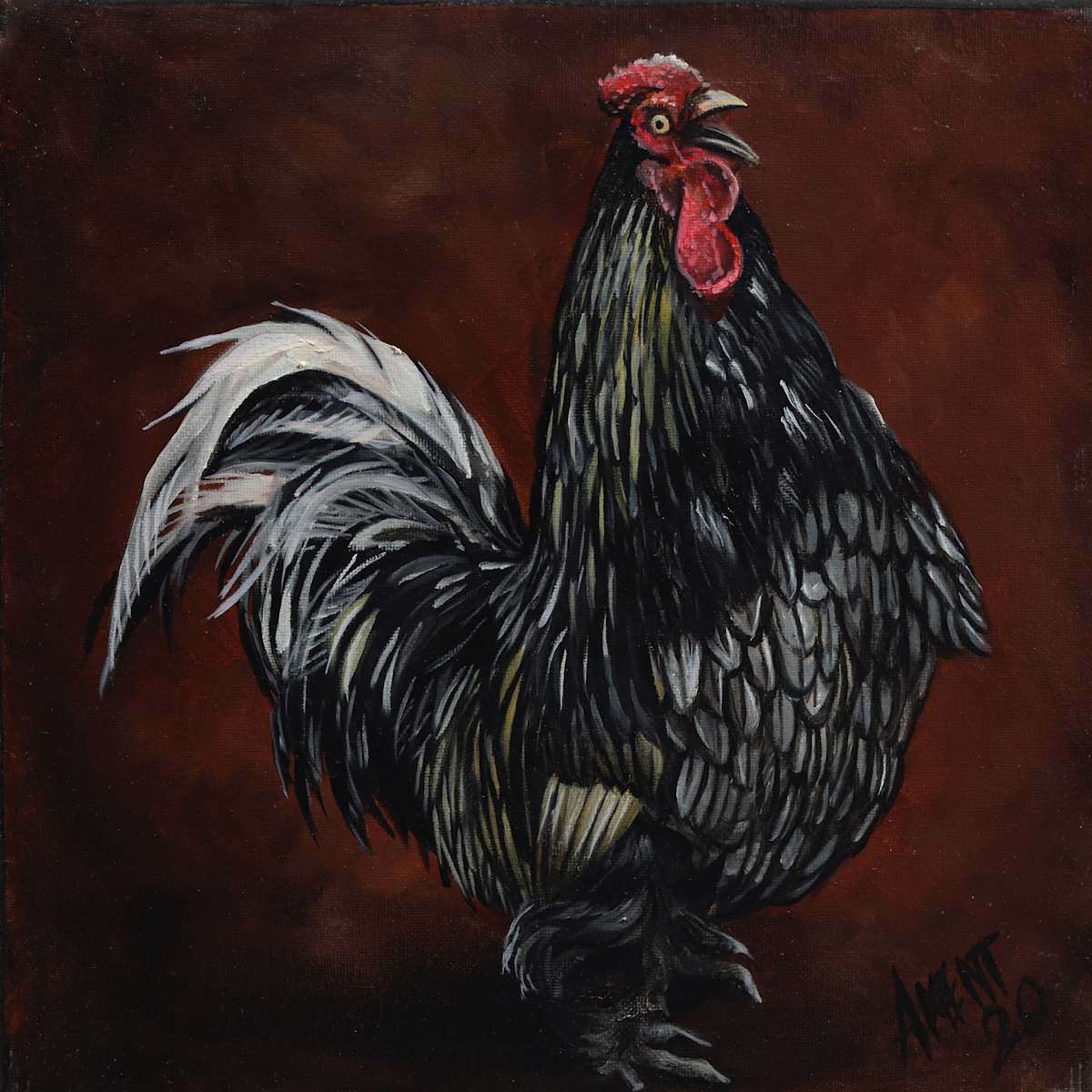 Rooster by J. Scott Ament, Image 2.