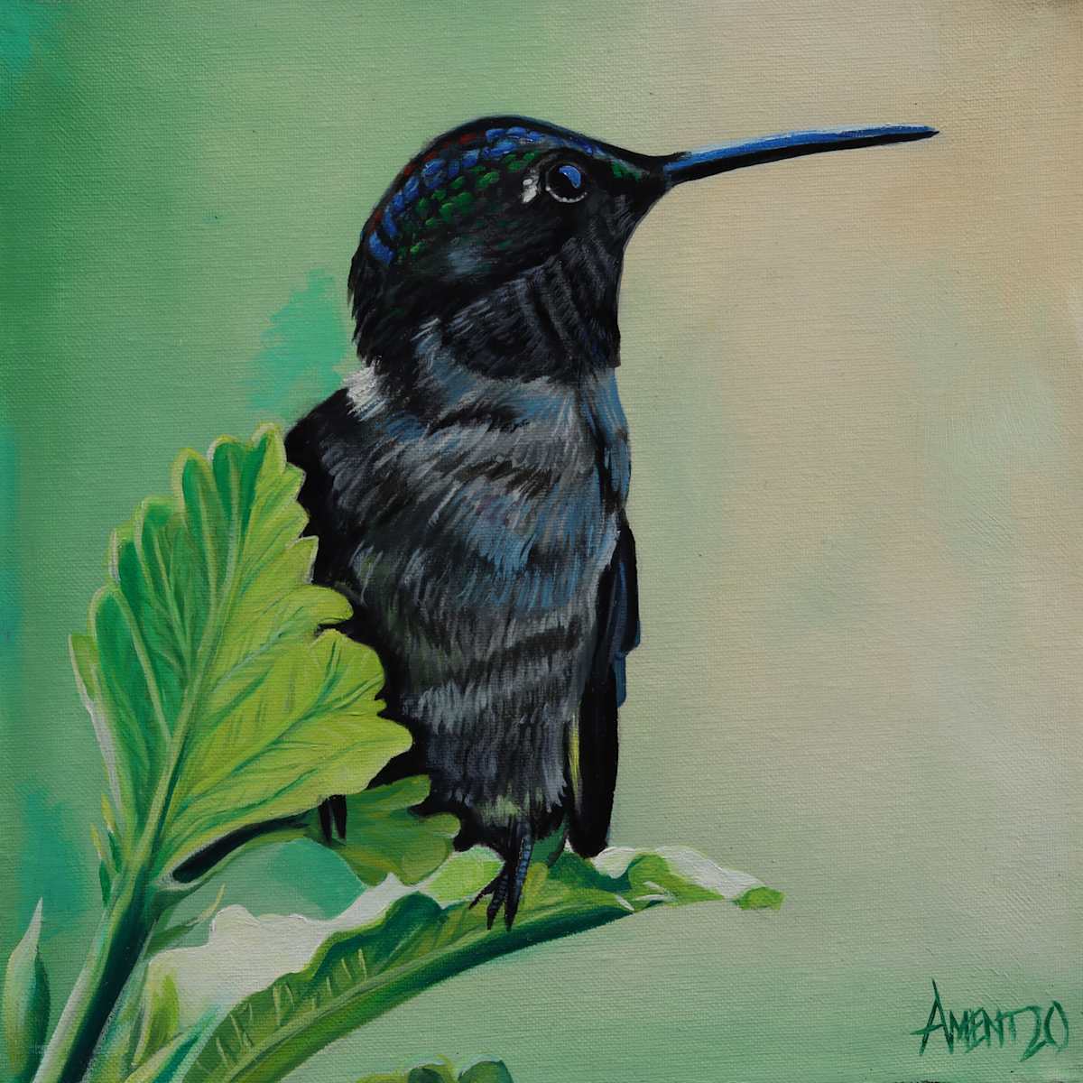 Ruby Throated Hummingbird by J. Scott Ament, Image 2.