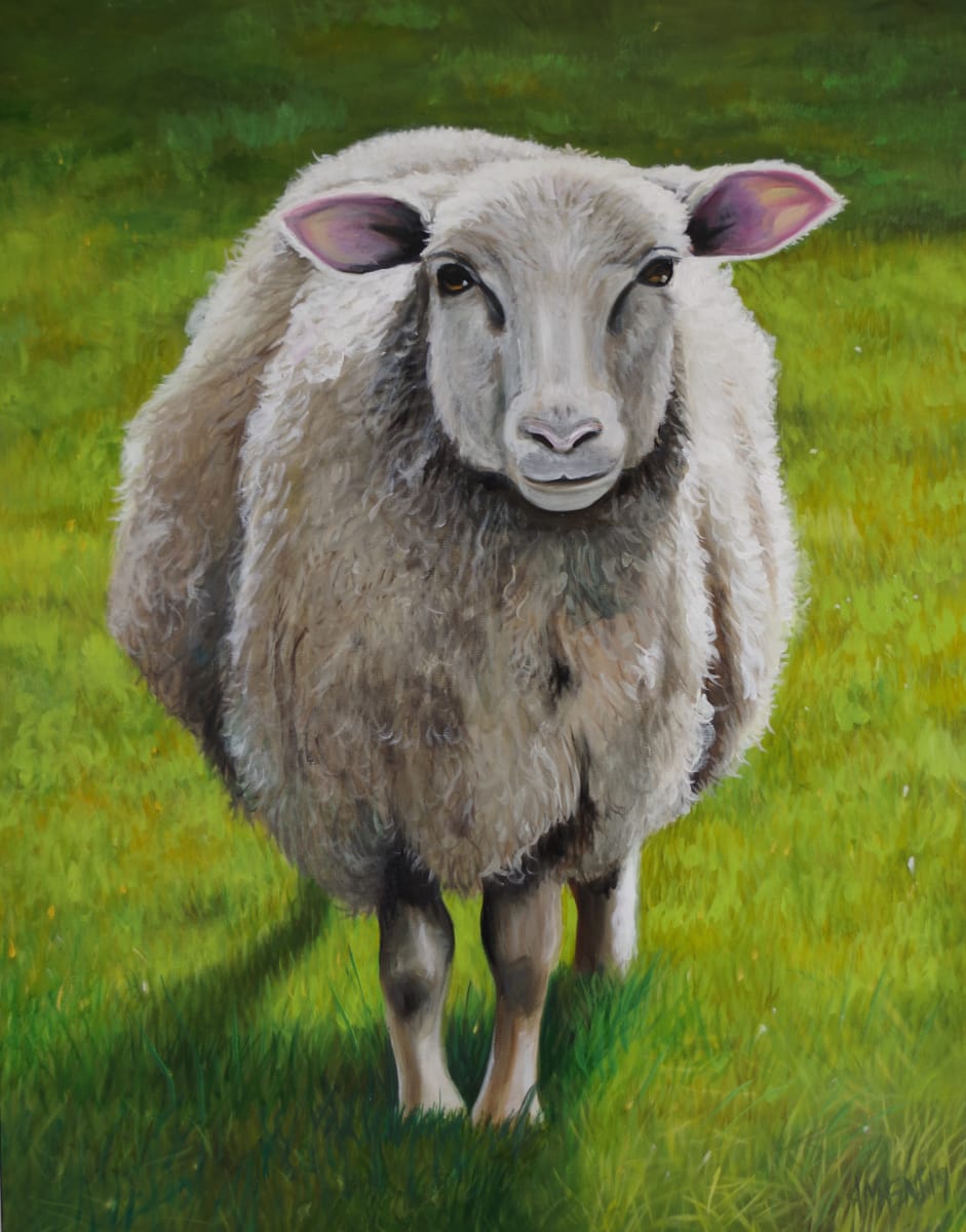 Sheep by J. Scott Ament 