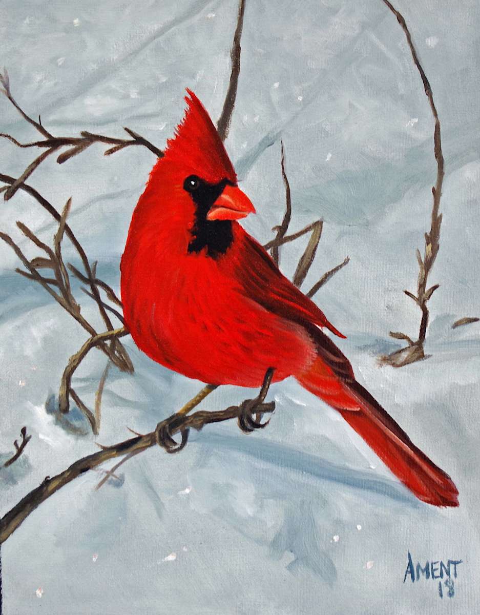 Snowy Cardinal II by J. Scott Ament, Image 1.