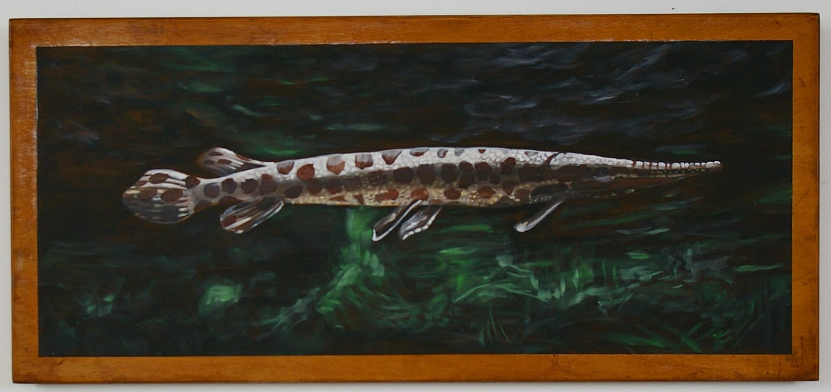 Spotted Gar by J. Scott Ament 