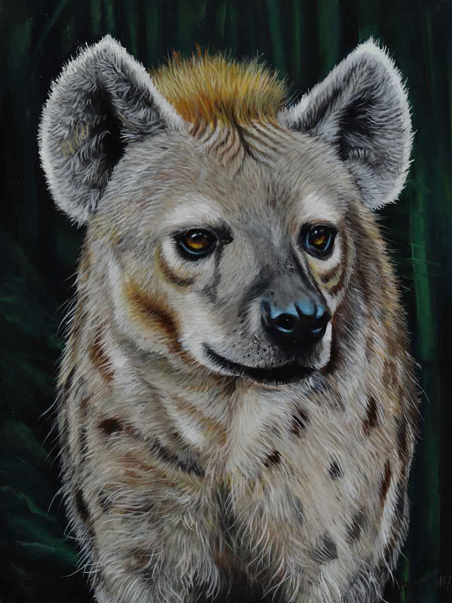 Spotted Hyena by J. Scott Ament 