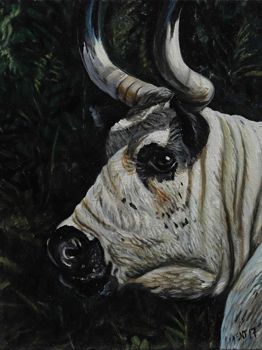 Steer Profile by J. Scott Ament 