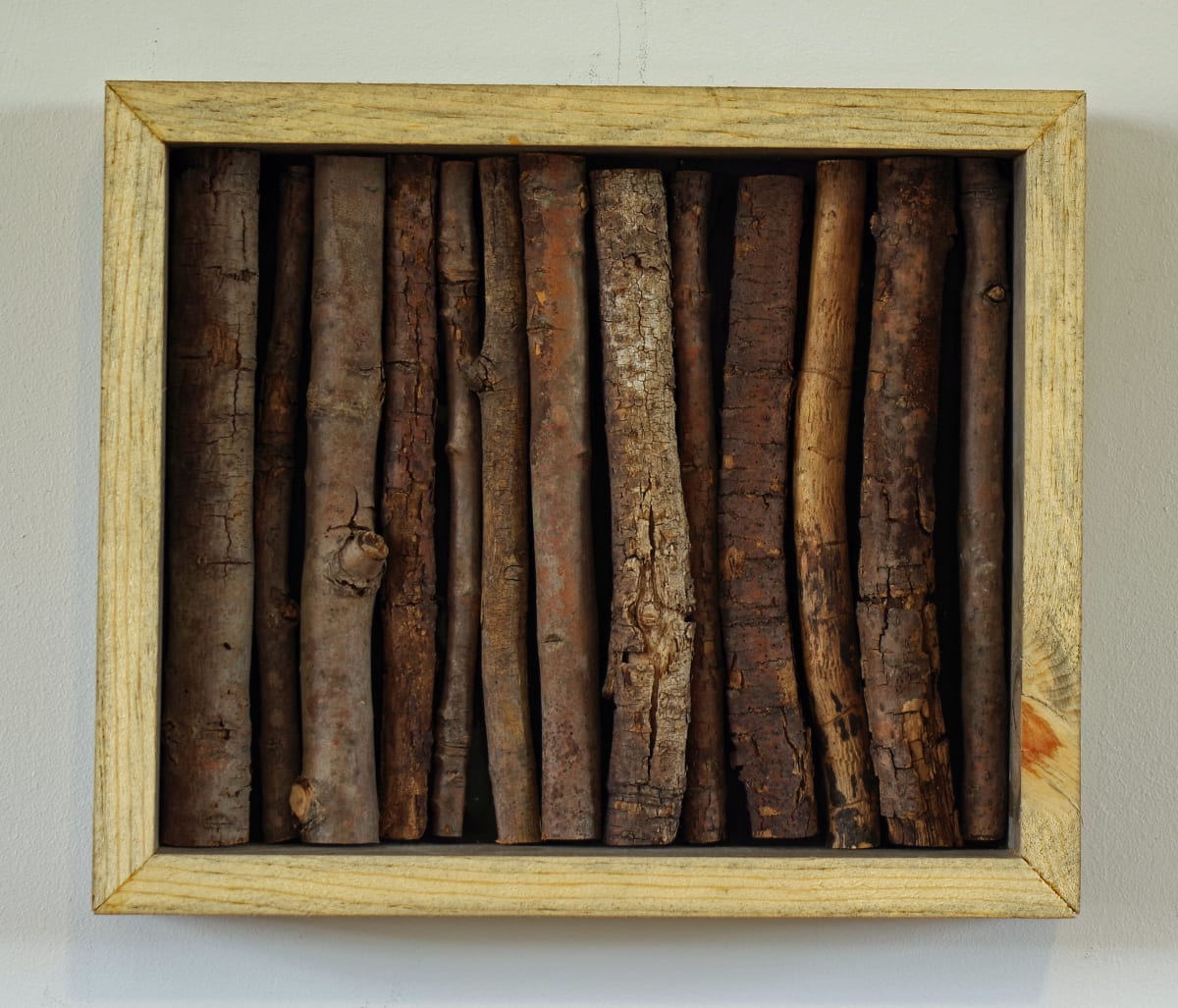 Sticks by J. Scott Ament 
