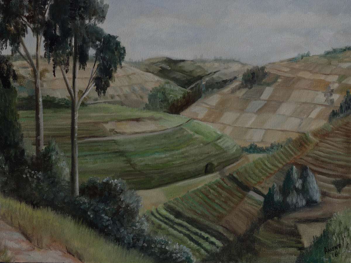 Ugandan Tea Fields by J. Scott Ament 