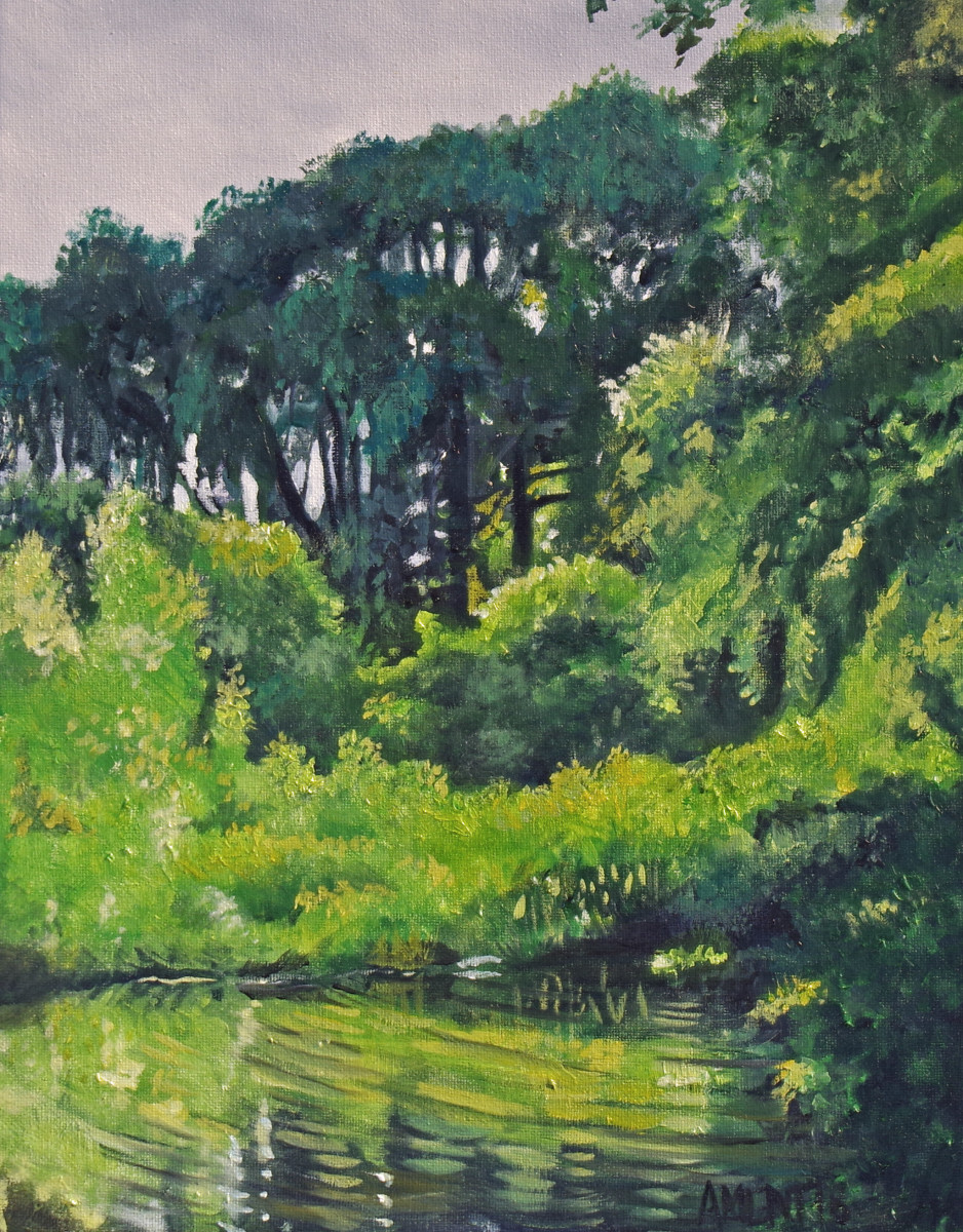 Willow Pond by J. Scott Ament 