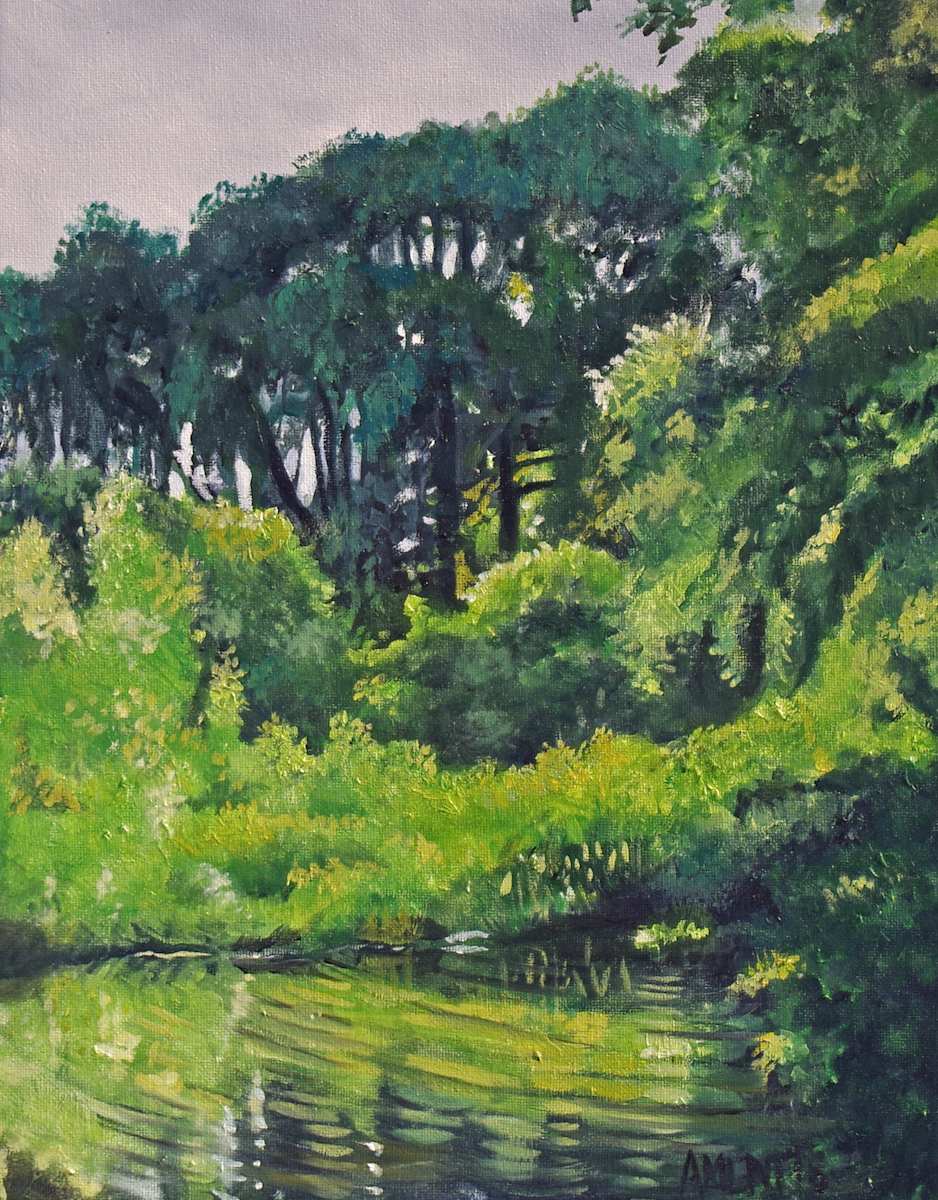 Willow Pond by J. Scott Ament, Image 1.