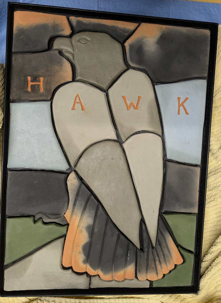 ASDM Hawk by Andrea L Edmundson, Image 2.
