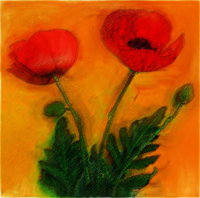 2 Popies by Stefan Tur, Image 1.