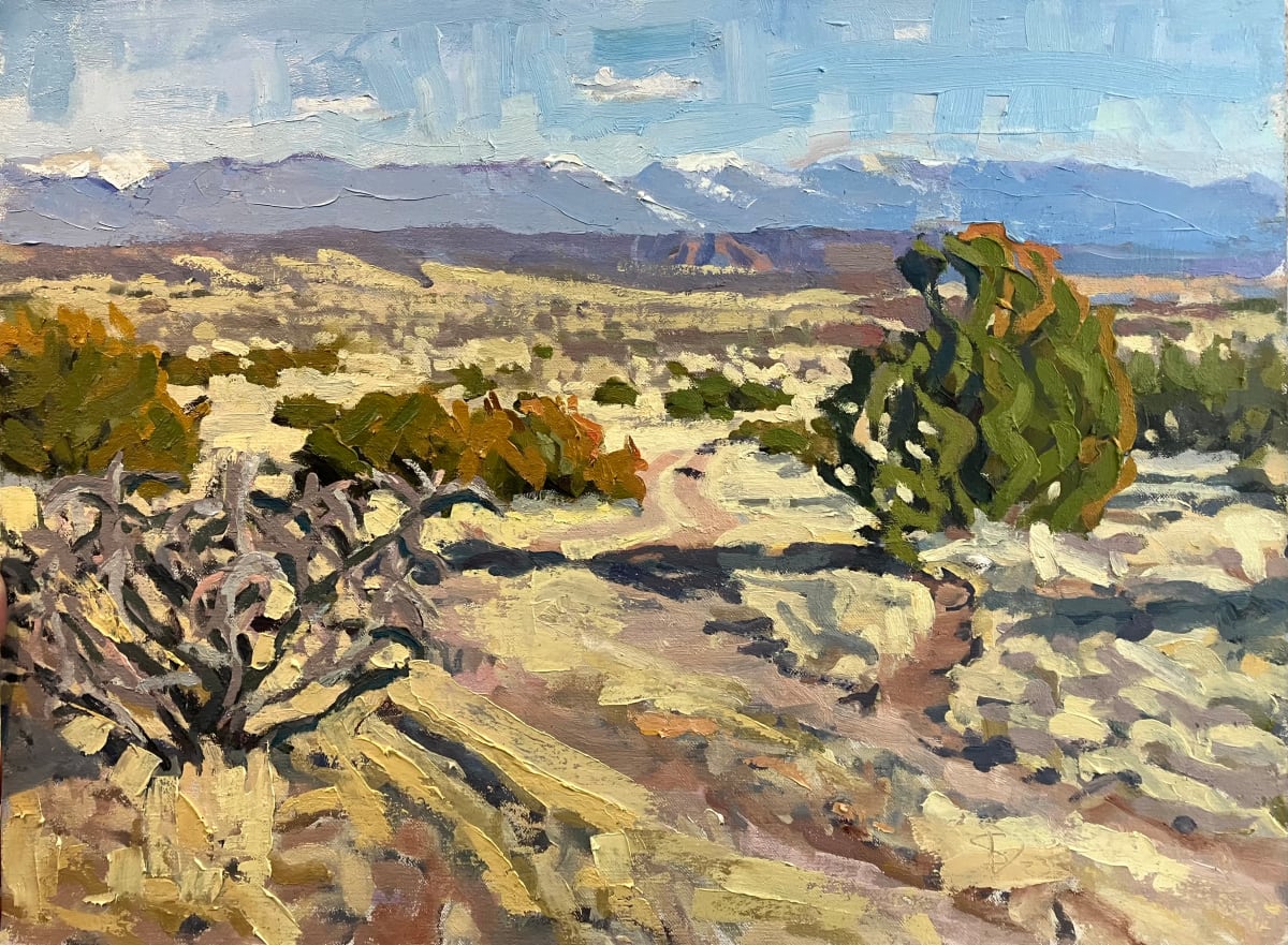 Cholla and Juniper by Shawn Demarest 