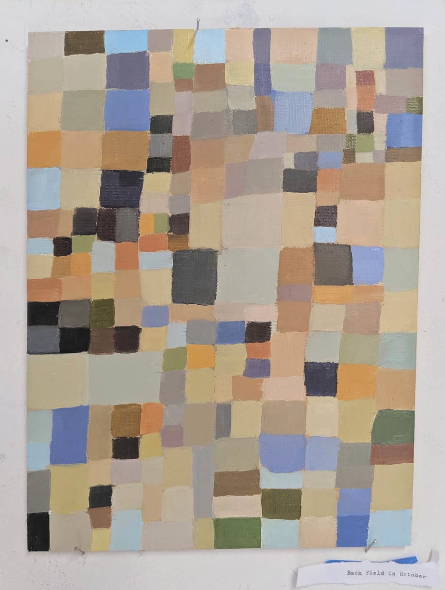 Taos Plateu colors by Shawn Demarest 