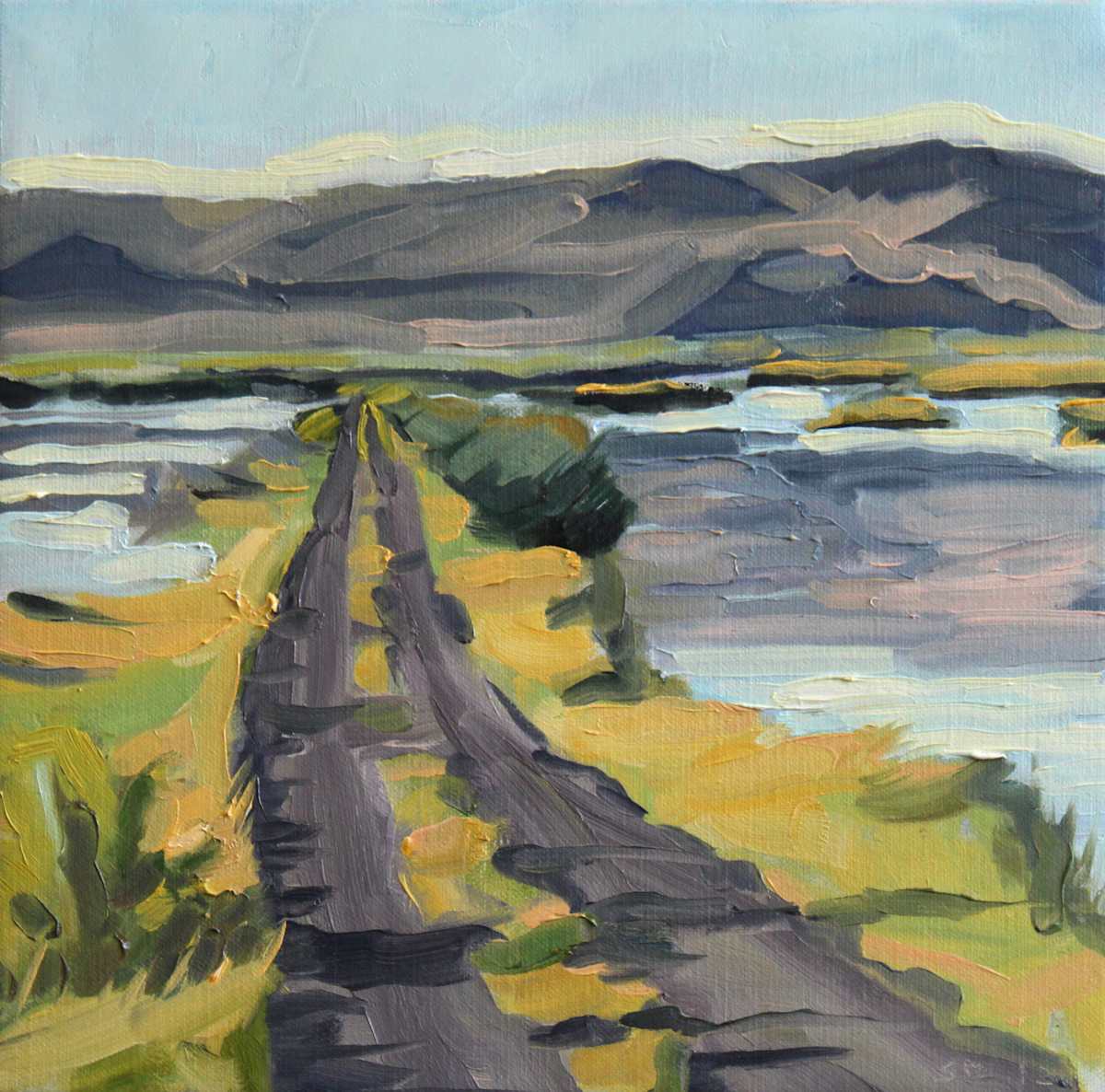 Summer Lake Dike by Shawn Demarest, Image 1.