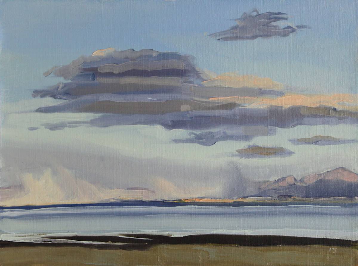 Playa Dust Storm by Shawn Demarest, Image 1.
