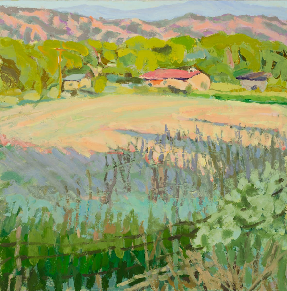 Summer Pasture Sunset by Shawn Demarest 