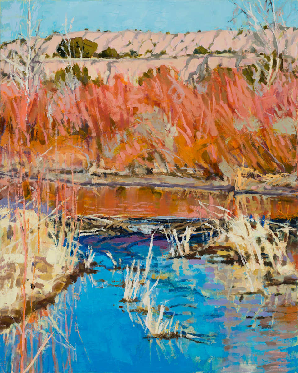 El Rito Beaver Dam by Shawn Demarest, Image 1.