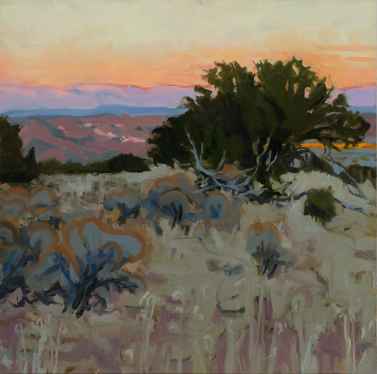 El Rito Mesa Sunset  Image: Plein air - then studio from memory
