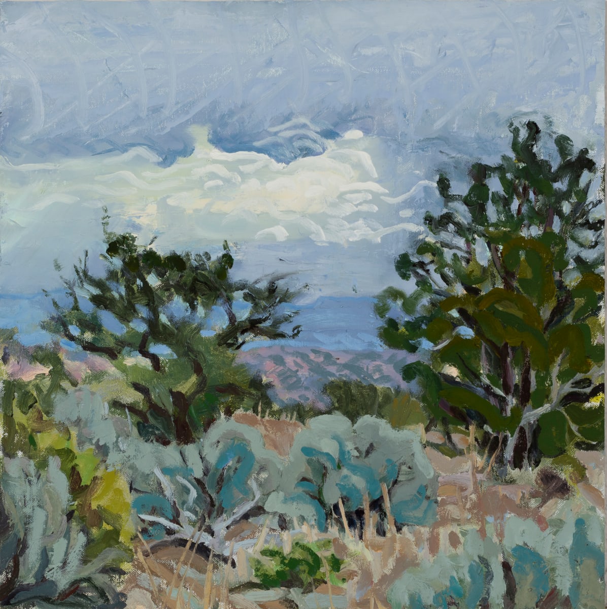 Evening Rain above El Rito by Shawn Demarest 