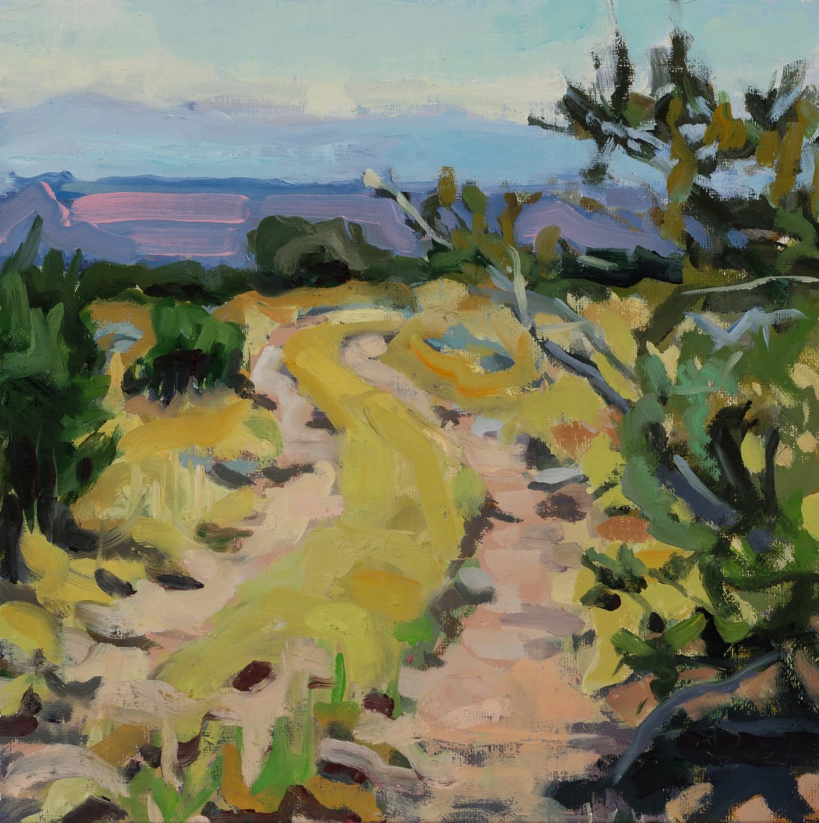 Mesa Road by Shawn Demarest  Image: plein air