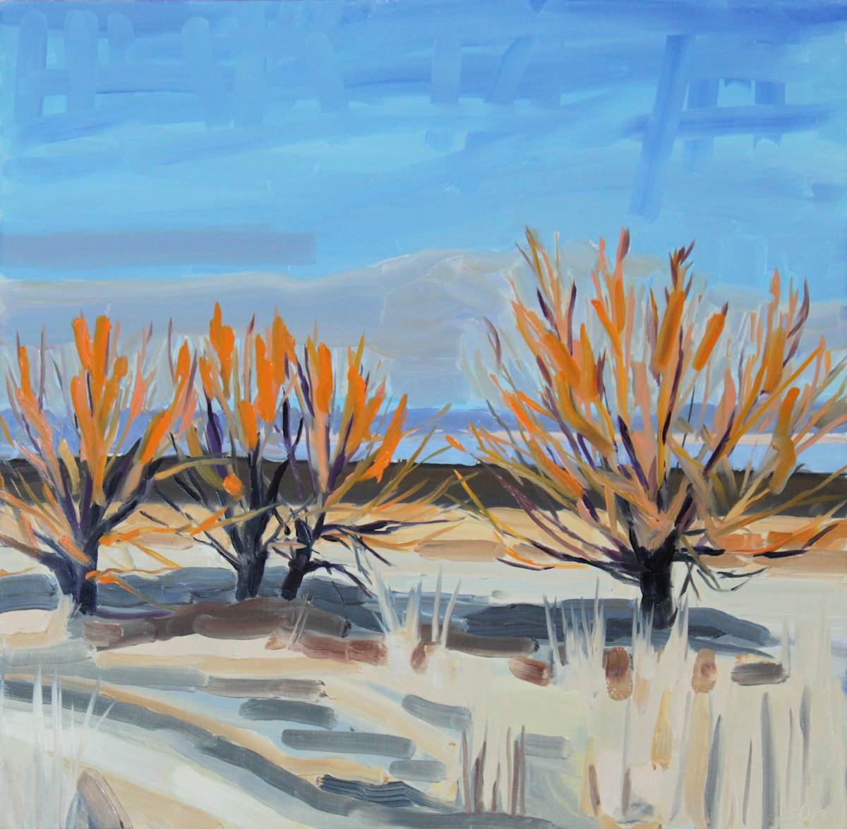 Playa Willows by Shawn Demarest, Image 1.