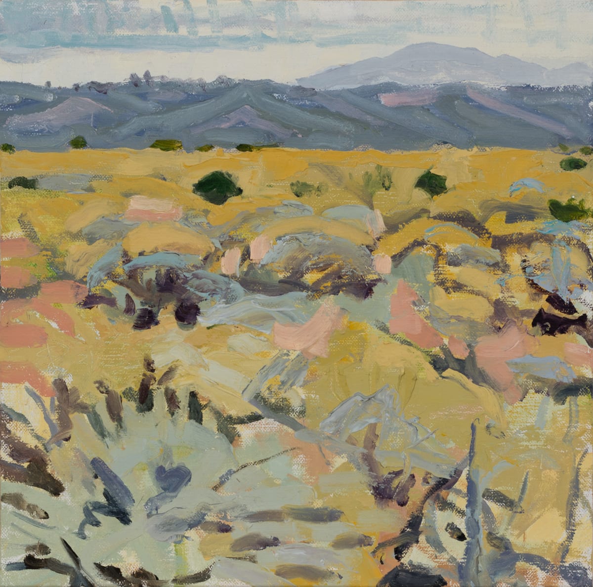 Flat Light Mesa by Shawn Demarest  Image: plein air