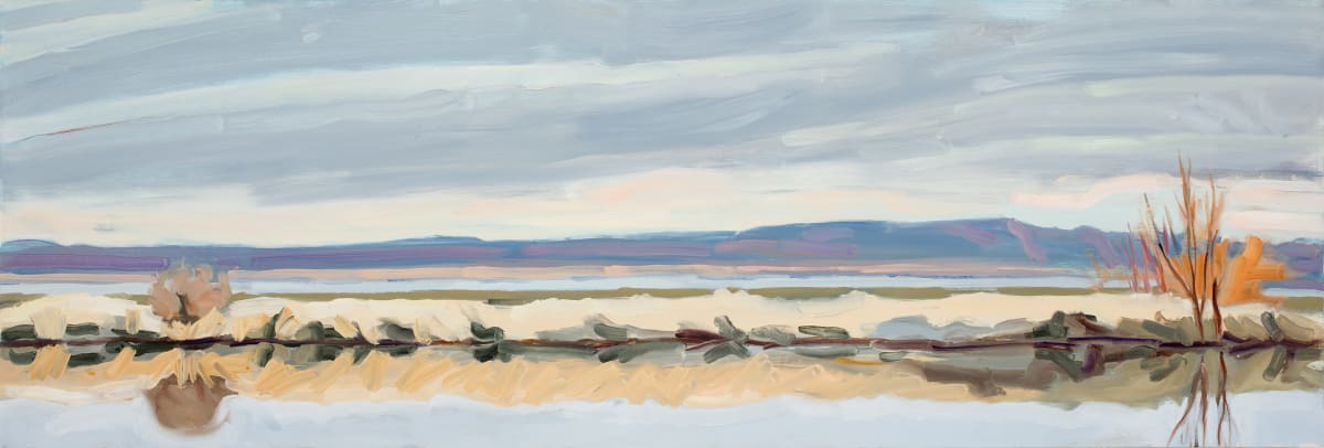 Playa Pond by Shawn Demarest 