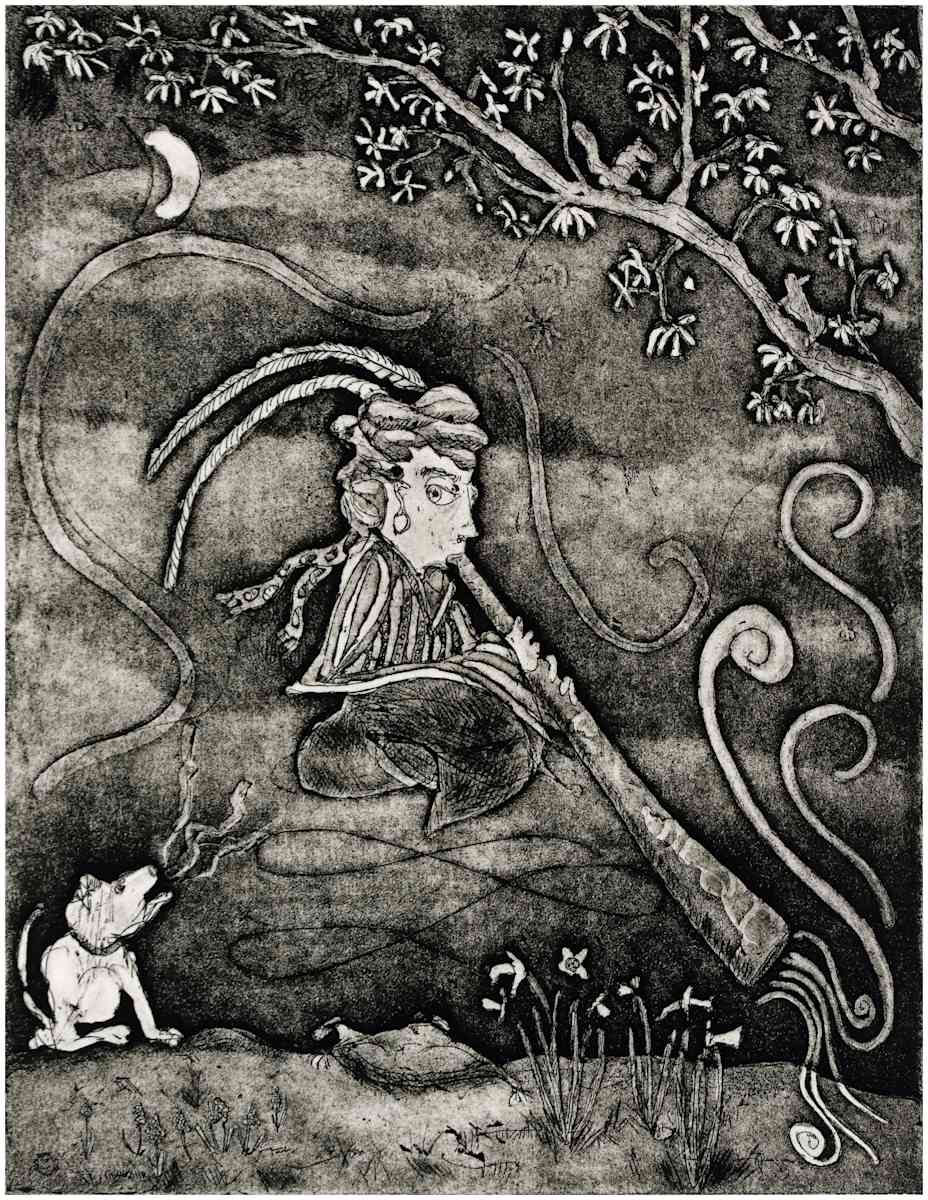 Levity by Shawn Demarest, Image 14.