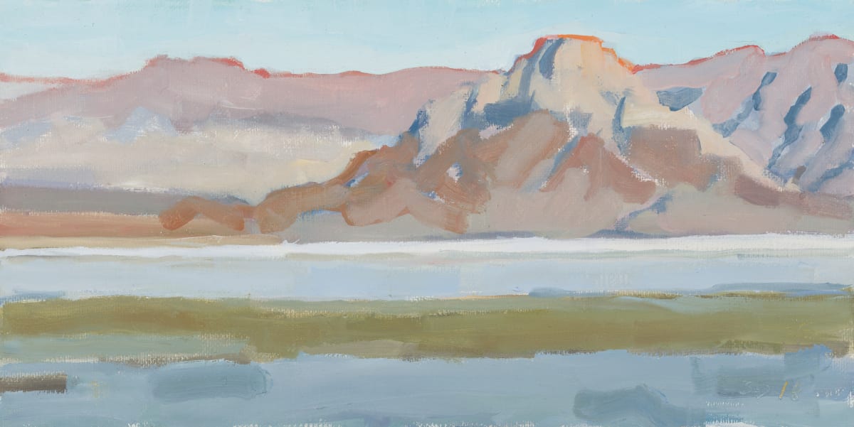 Cowhole Mountain by Shawn Demarest 