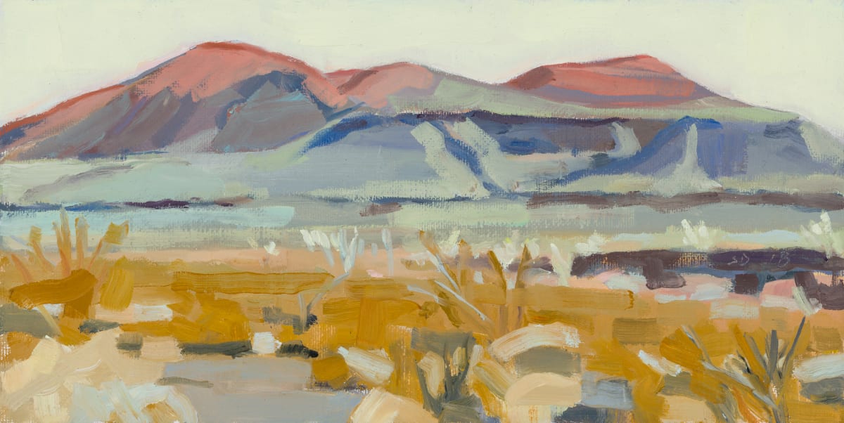 Cinder Cone Sunrise by Shawn Demarest 