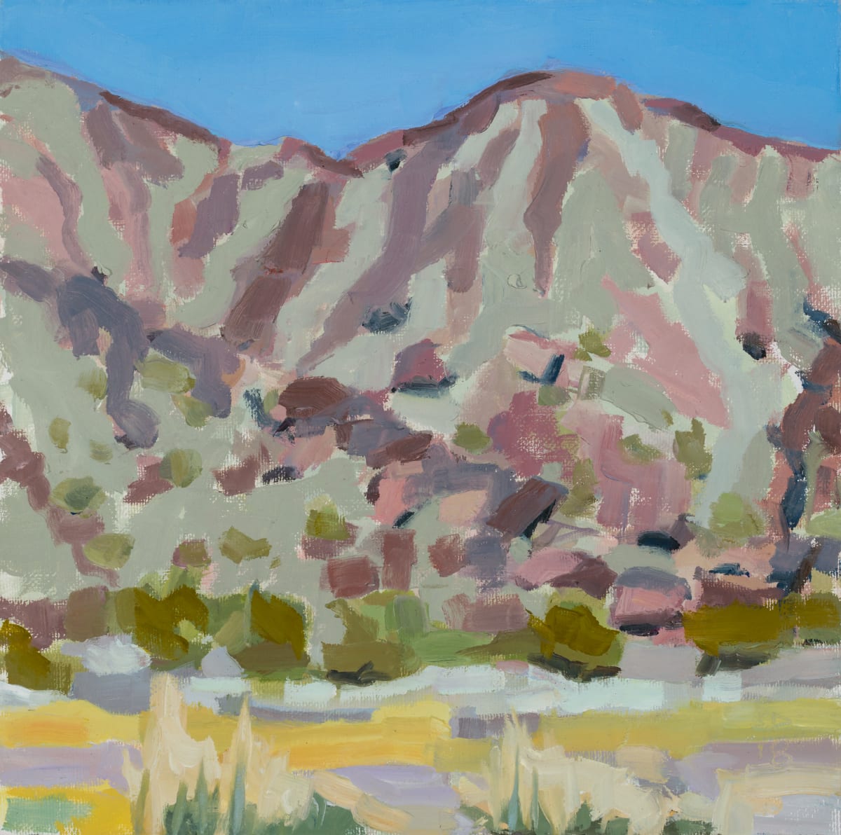 Soda Mountain Creosote by Shawn Demarest 