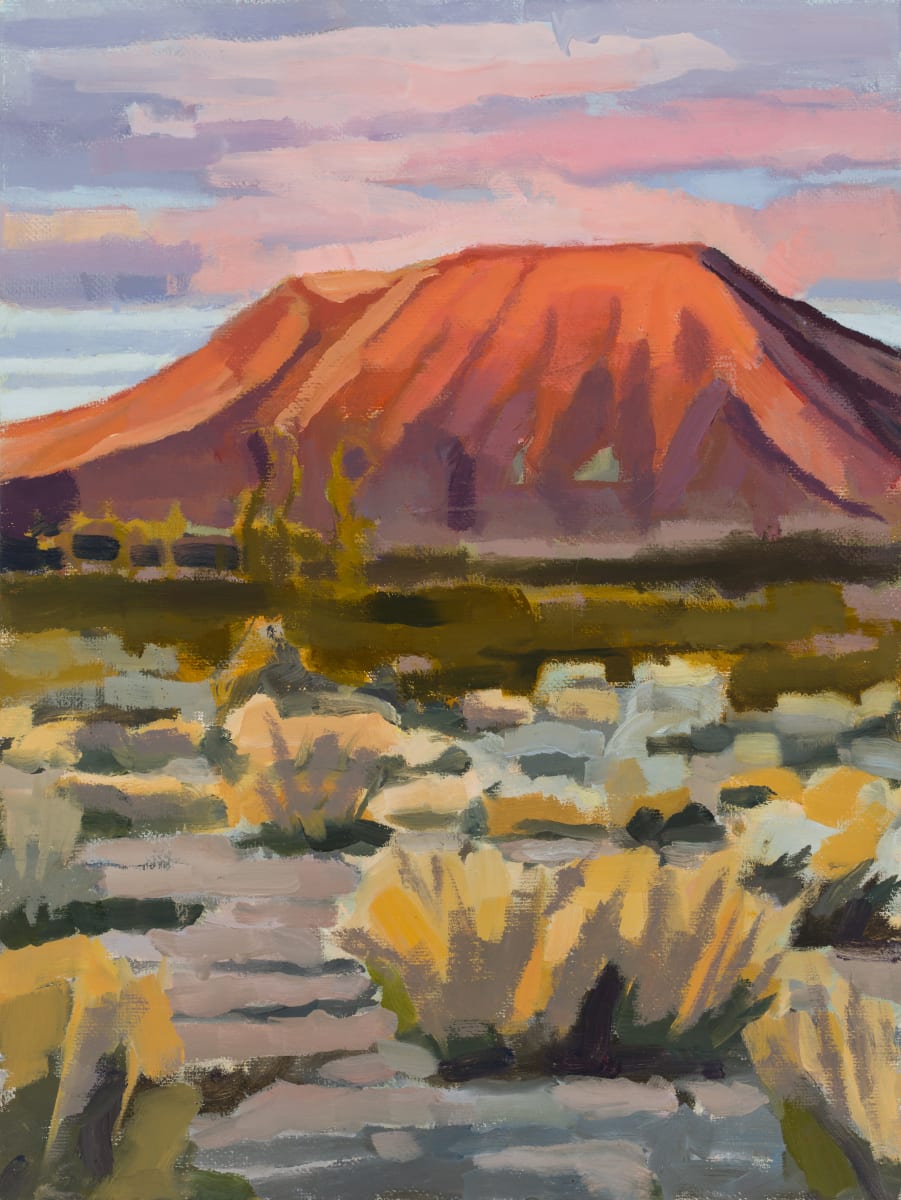 Cinder Cone Glow by Shawn Demarest 