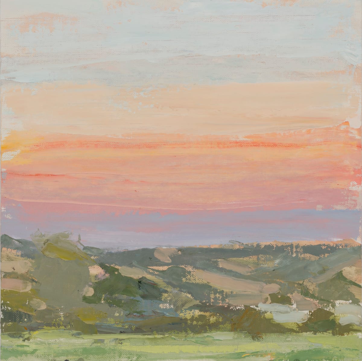 Smoky Sunset El Rito by Shawn Demarest  Image: Plein air. Smoke from NM forest fires in distance