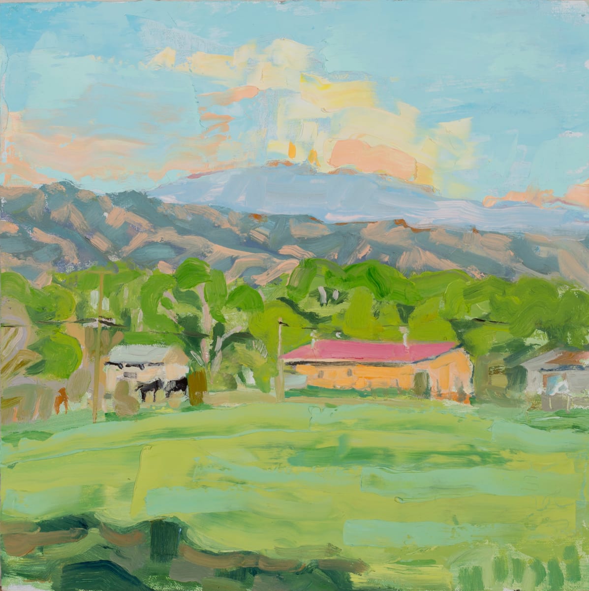 Pasture Sunset by Shawn Demarest 