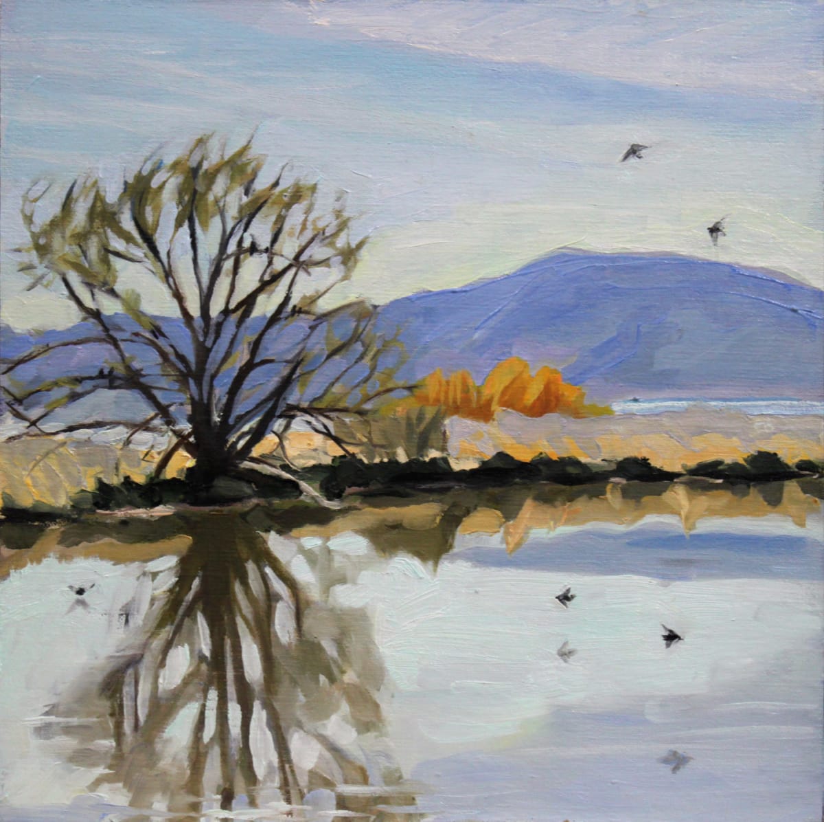Playa Pond by Shawn Demarest, Image 1.