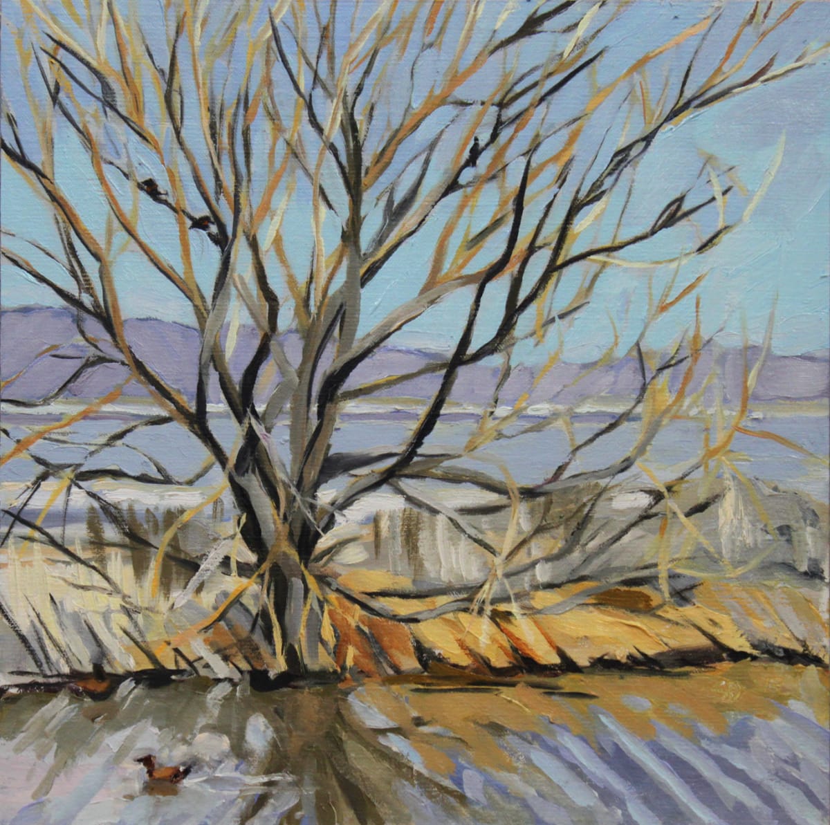 Playa Duck by Shawn Demarest 