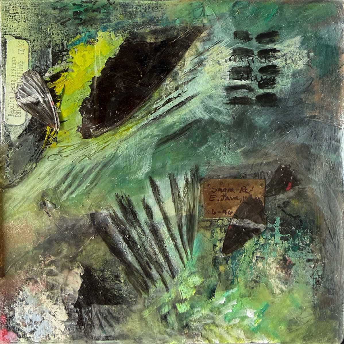 Butterfly 11 by Mara Manning, Image 2.