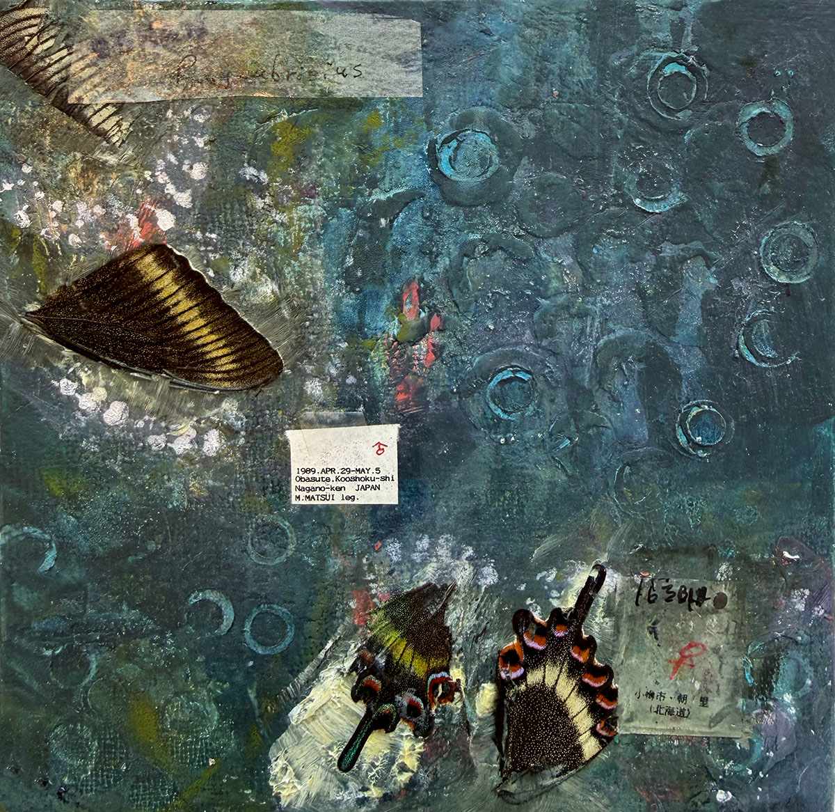 Butterfly Nagano by Mara Manning, Image 1.