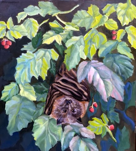 Bat Berry Bush, Image 3.