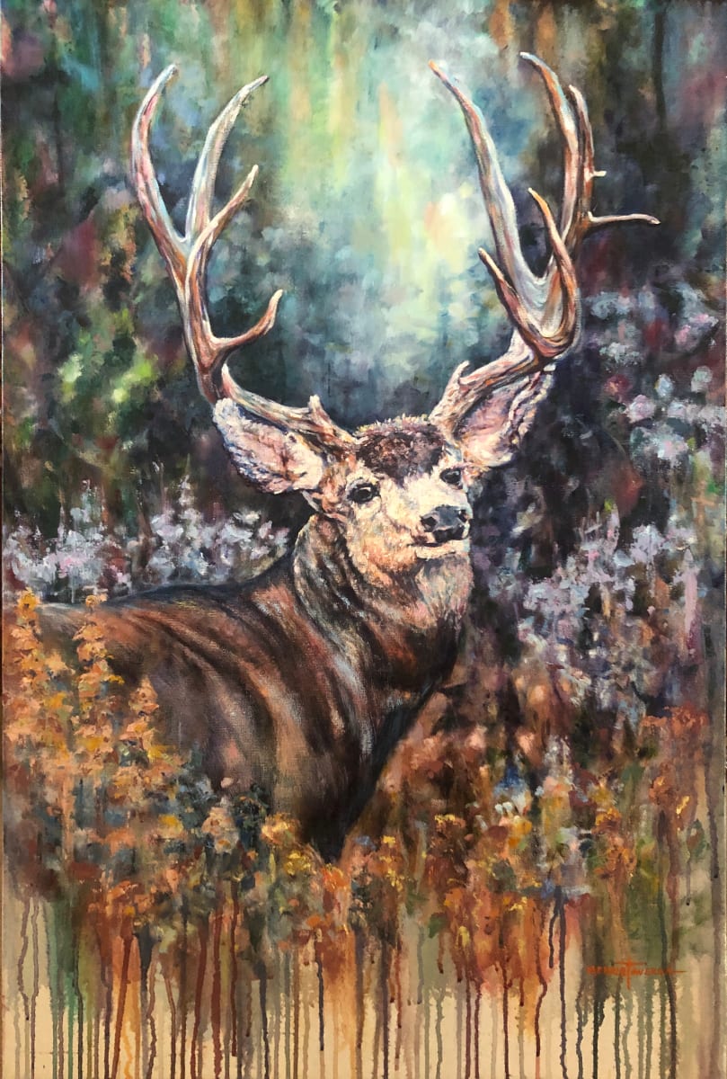 Mule Deer 