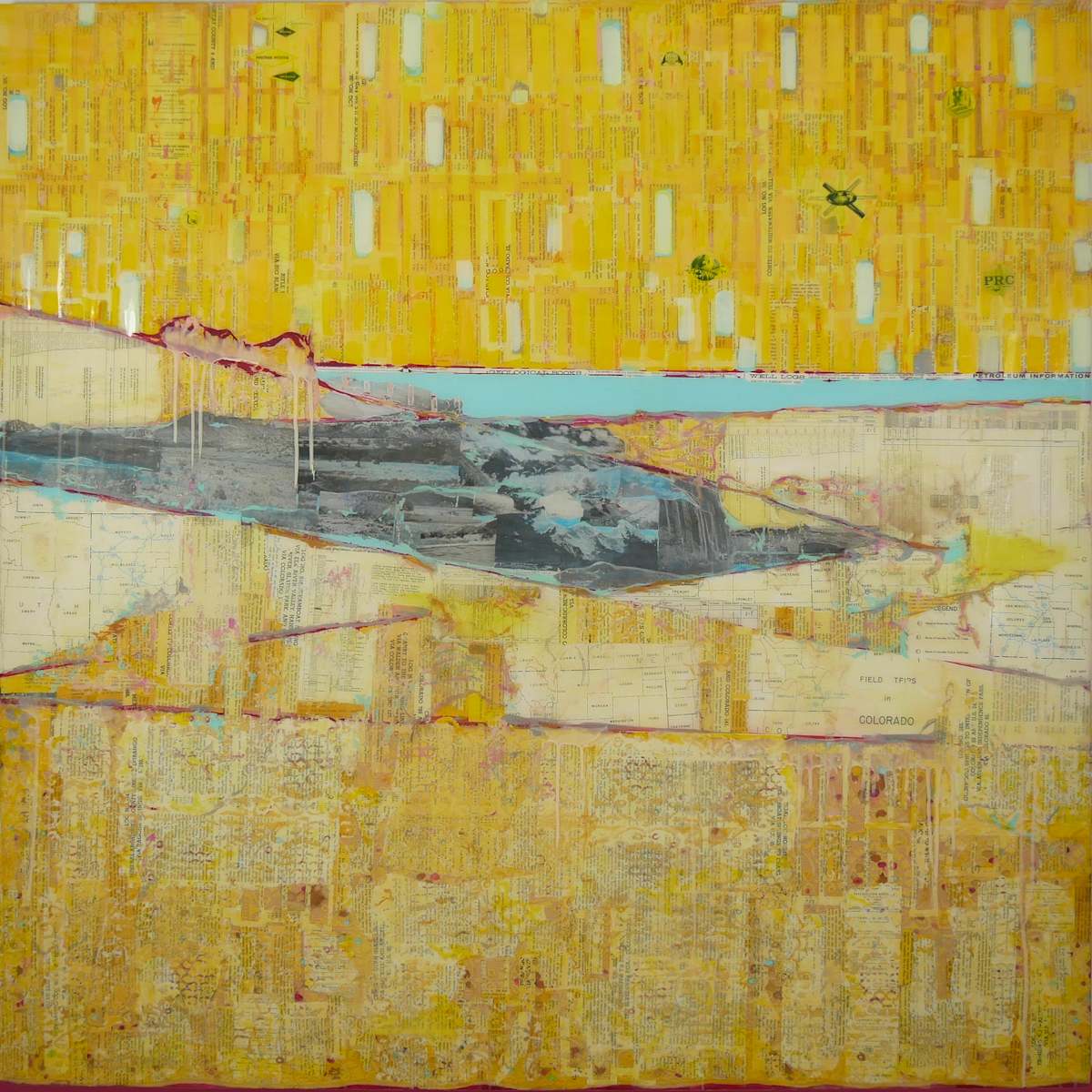 Field Trips by Kristy Darnell Battani 