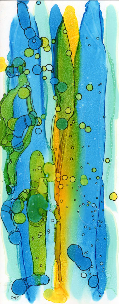 Light Reflect by Dawn Johnson, Image 1.