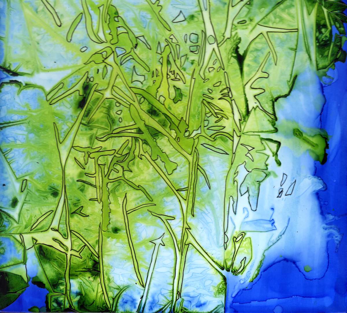 Woodland Whispers 2 by Dawn Johnson 
