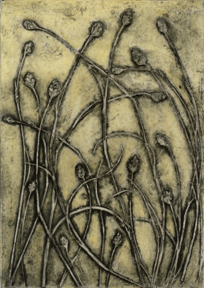 Beach Grass by Jacky Lowry 